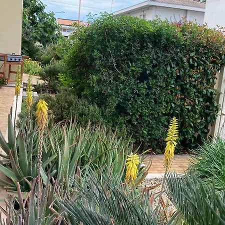 Garden * 阿布鲁齐的罗塞托