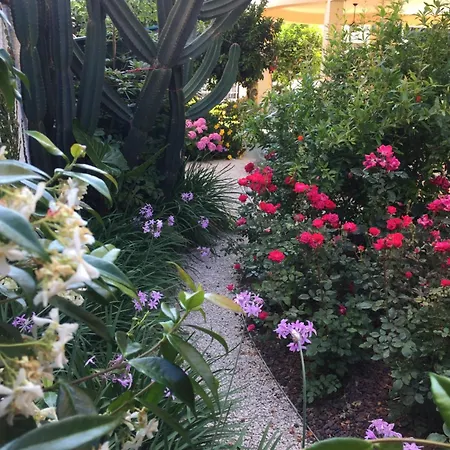 Garden 阿布鲁齐的罗塞托